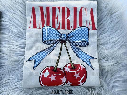 Adult Large Gildan/Tultex - DESTASH