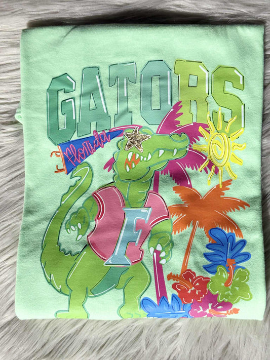 Adult X-Large Gildan/Tultex - DESTASH