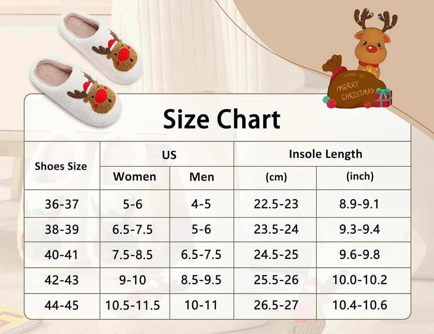 TS Slippers - WS
