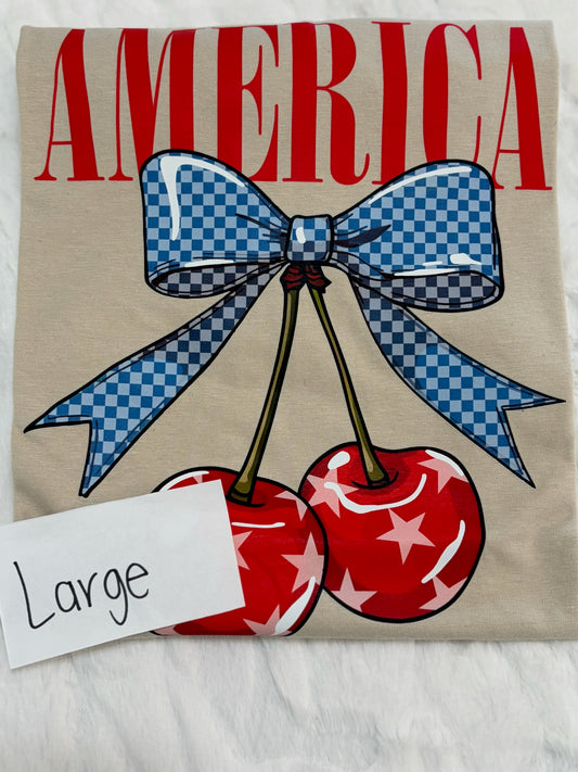 (GILDAN/TULTEX) TEE - LARGE - DESTASH